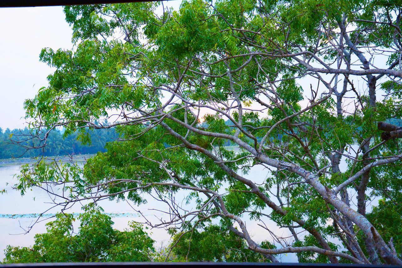 Diya Dahara Lake Resort Yala Exteriör bild